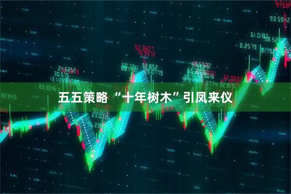 五五策略 “十年树木”引凤来仪