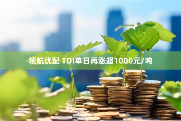领航优配 TDI单日再涨超1000元/吨