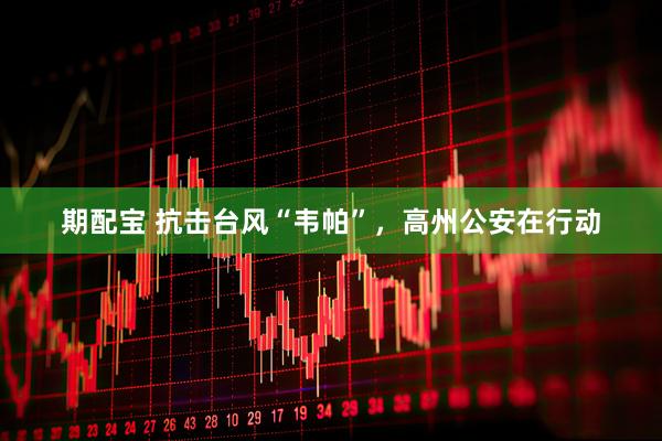 期配宝 抗击台风“韦帕”，高州公安在行动