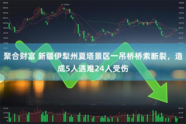 聚合财富 新疆伊犁州夏塔景区一吊桥桥索断裂，造成5人遇难24人受伤