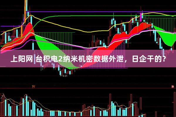 上阳网 台积电2纳米机密数据外泄，日企干的？