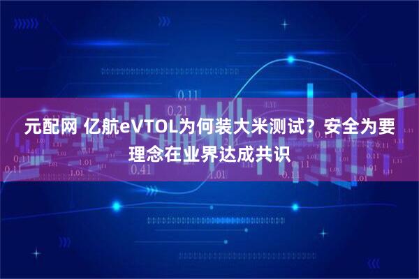 元配网 亿航eVTOL为何装大米测试？安全为要理念在业界达成共识