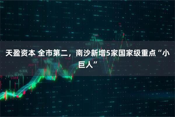 天盈资本 全市第二，南沙新增5家国家级重点“小巨人”