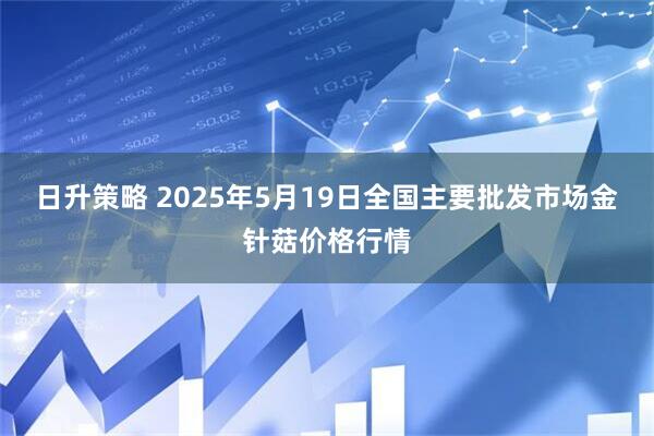 日升策略 2025年5月19日全国主要批发市场金针菇价格行情