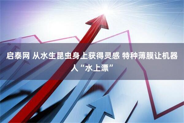启泰网 从水生昆虫身上获得灵感 特种薄膜让机器人“水上漂”