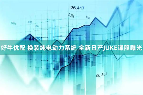 好牛优配 换装纯电动力系统 全新日产JUKE谍照曝光